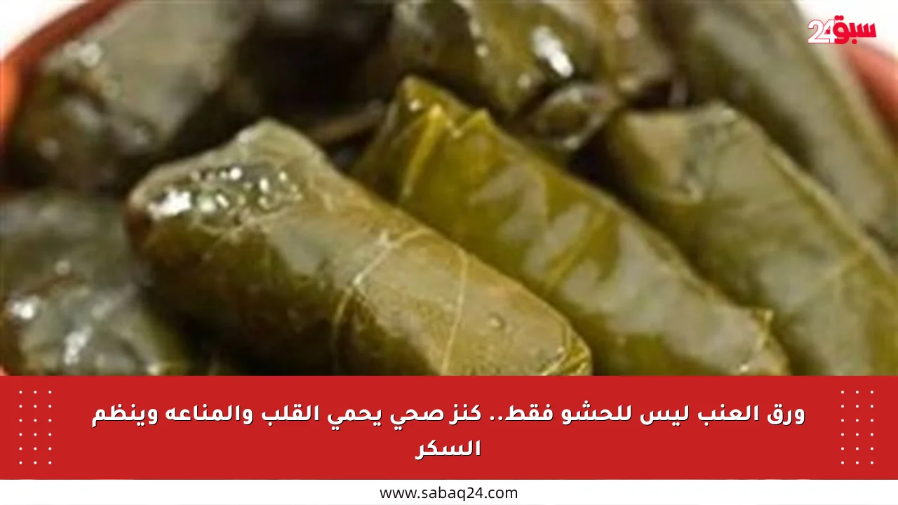 ورق العنب ليس للحشو فقط.. كنز صحي يحمي القلب والمناعة وينظم السكر
